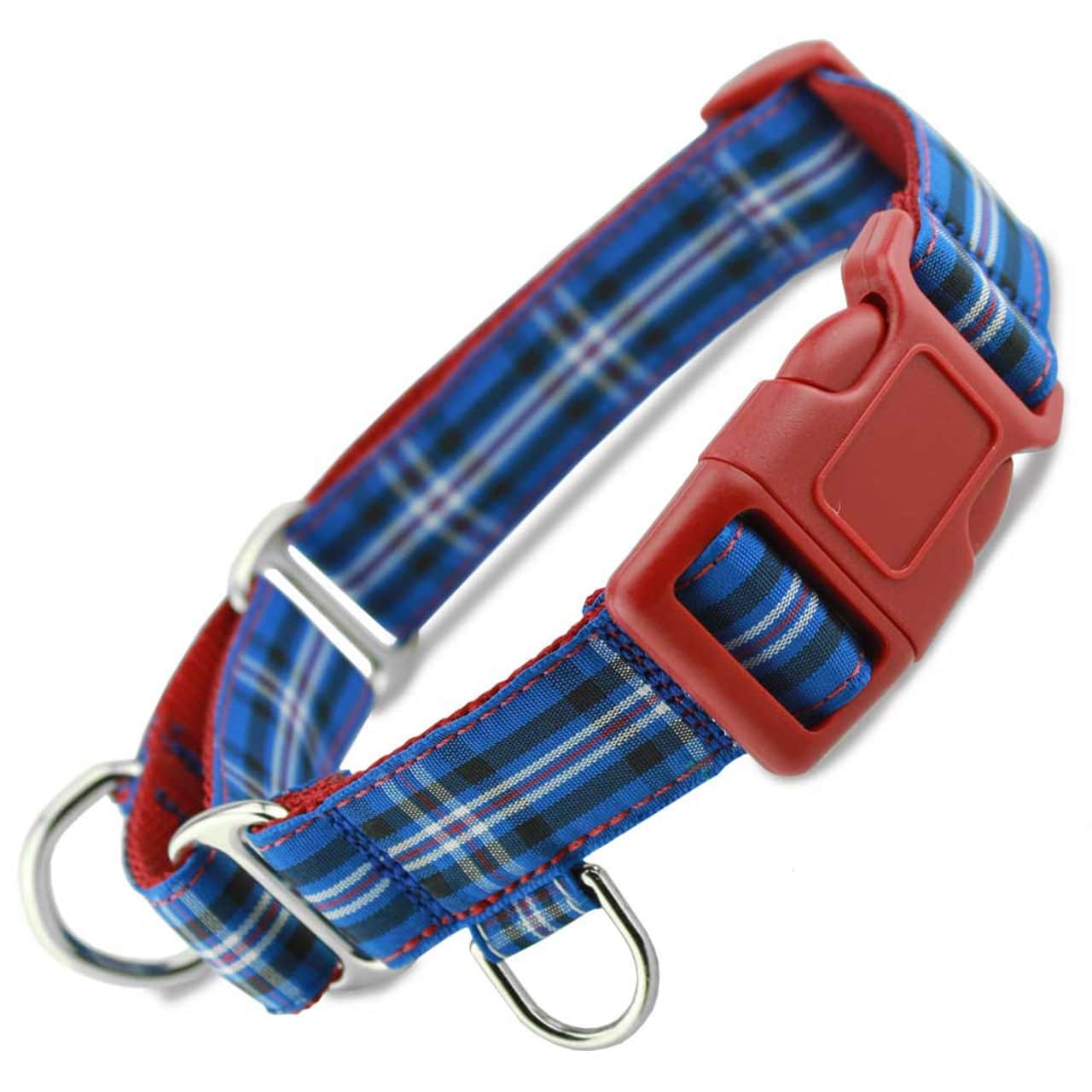 Artful Canine Martingale Dog Collar
