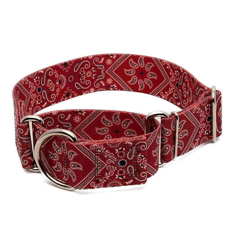 Country Brook Design Martingale Heavy Duty Nylon Dog Collar