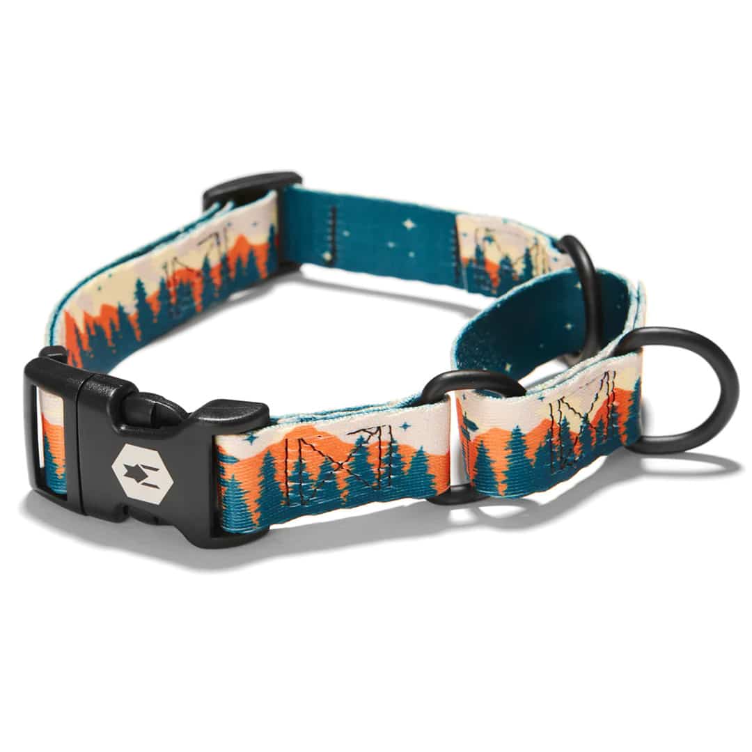 Wolfgang Premium Martingale Dog Collar