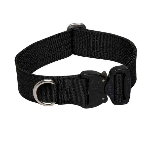 Atlas Pet Co 1.5 Lifetime Pro Collar