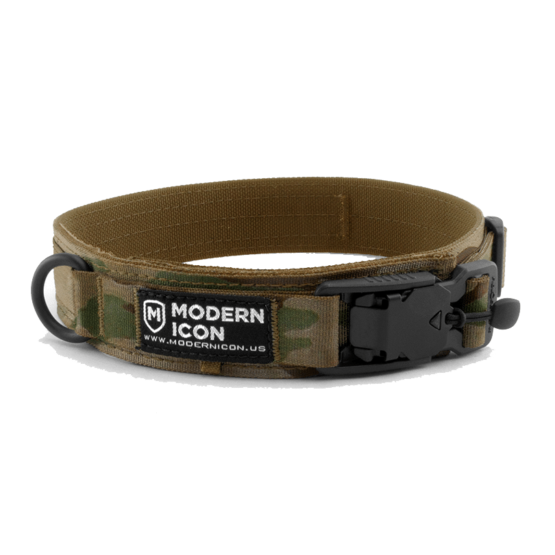 Modern Icon 1.5 Summit Collar