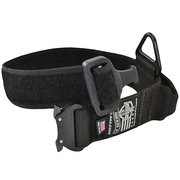 Ray Allen 1.75 Cobra Buckle Dog Collar