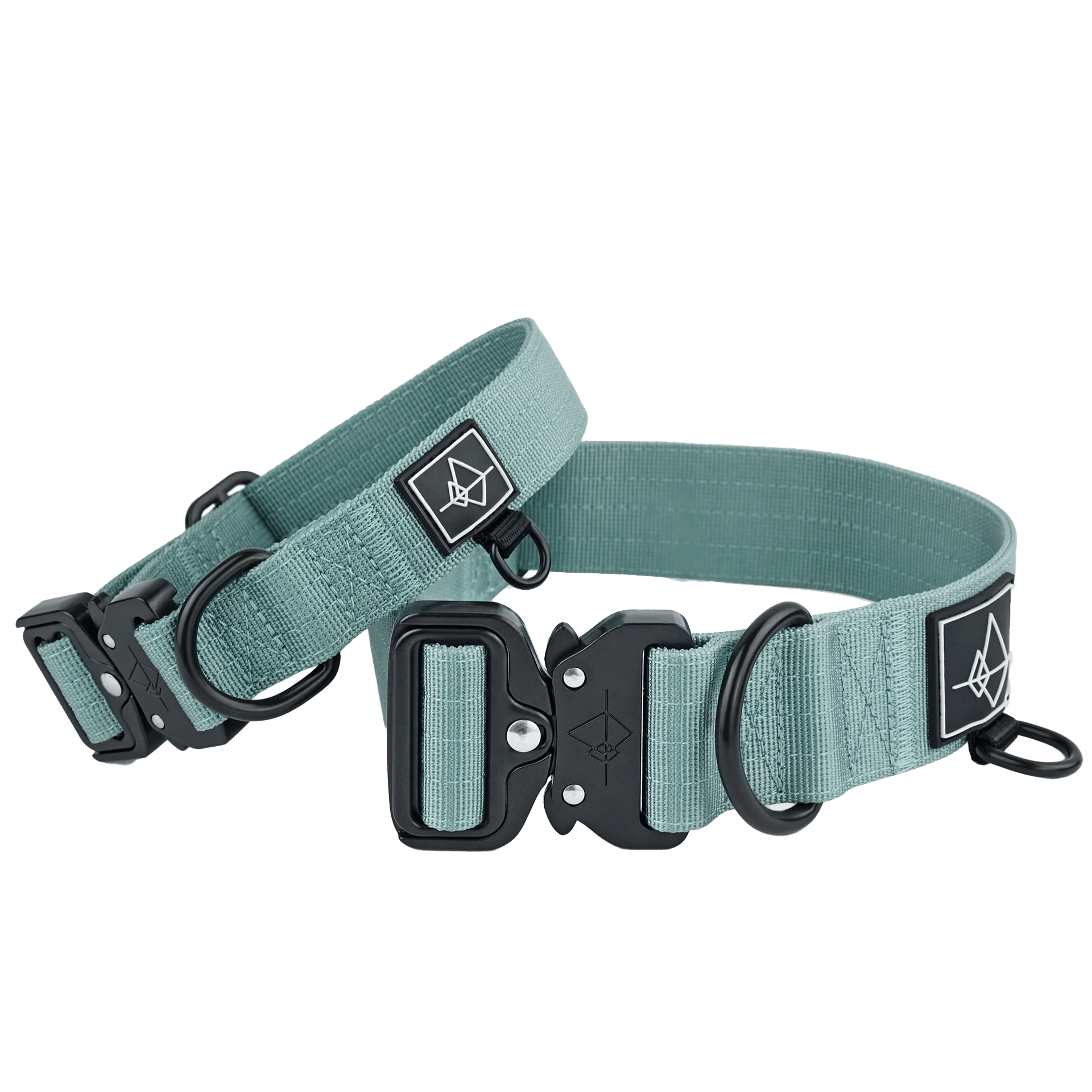 Roam Explorer Classic Dog Collar